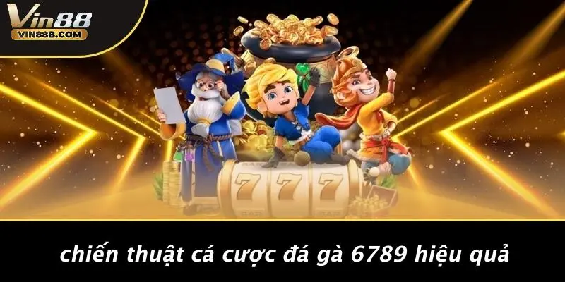 Đá Gà 6789: Kinh Nghiệm Cá Cược Không Thể Bỏ Qua Từ VIN88 4 Chiến Thuật Cá Cược Đá Gà 6789 Hiệu Quả