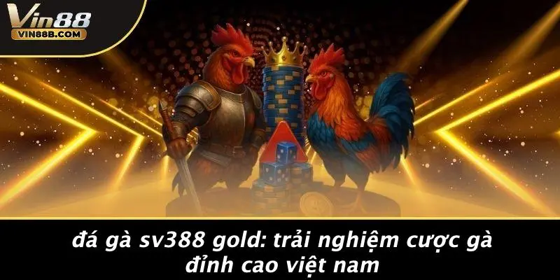 Đá Gà Sv388 Gold: Trải Nghiệm Cược Gà Đỉnh Cao Việt Nam 1 Đá Gà Sv388 Gold