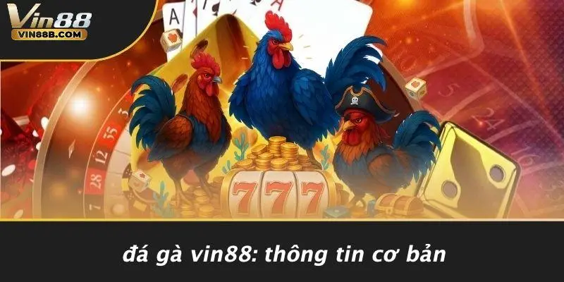 ĐÁ GÀ VIN88 1 Đá Gà VIN88: Thông Tin Cơ Bản