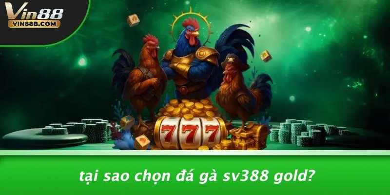 Đá Gà Sv388 Gold: Trải Nghiệm Cược Gà Đỉnh Cao Việt Nam 3 Tại Sao Chọn Đá Gà Sv388 Gold?